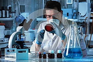 Microbiologist whit inoculation loops cultivating petri dish be