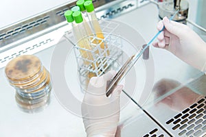 Working at laminar chamber