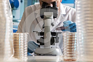 Microbiologist working with plates in the lab