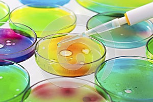 Microbiology - Pipette with drop liquid and petri dishes