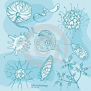 Microbiology Protozoa Organisms Vector Set