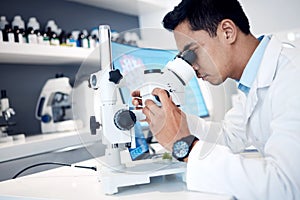 Microbiology, research and scientist in a lab with a microscope for science, healthcare innovation and bacteria analysis