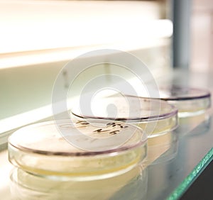 Microbiology science