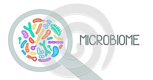 Microbiome illustration of bacteria. Vector image. Gastroenterologist. Bifidobacteria, lactobacilli. Lactic acid