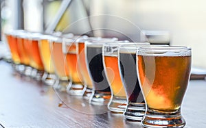 Microbrewery Craft Beer Tasting Flight