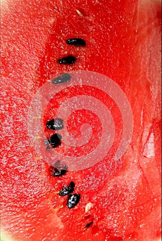 microcosmic of watermelon with watermelon seeds photo