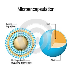 Microencapsulation mechanism