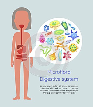 Microflora Digestive System Vector Illustration