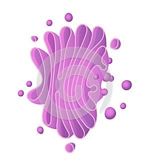 Purple Golgi apparatus structure. Vector Illustration photo