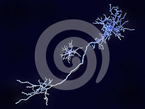 Microglia cell and pyramidal neuron