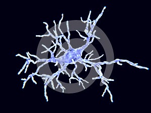 Microglial cell in the resting form