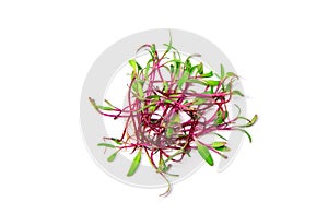 Microgreen beets on a white background isolate. Selective focus.