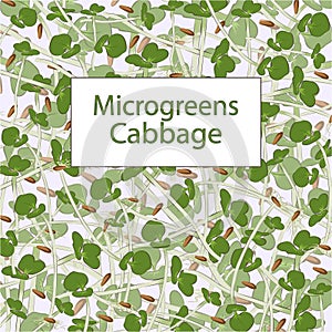 Microgreen cabbage. Texture.