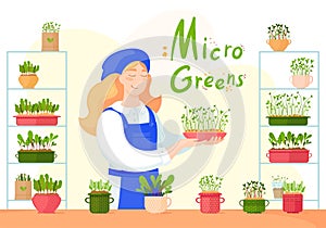 Microgreen. The girl sprouts microgreen.Sprouts and plants in pots