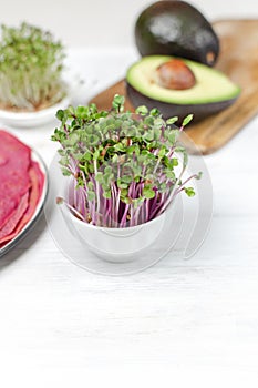 Microgreen kress, pink radish sprouts, beetroot pancakes, avocado on white wooden background, copy space