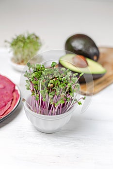 Microgreen kress, pink radish sprouts, beetroot pancakes, avocado on white wooden background, copy space