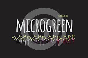 Microgreen logo  hand drawn illustration