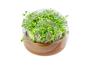 Microgreen sprouts, arugula shoots in wooden bowl isolated on white background