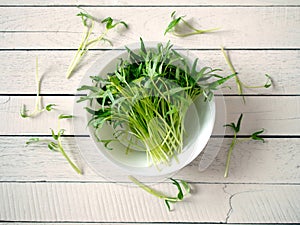 Microgreen vegetable in bowl