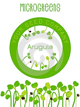 Microgreens Arugula. Seed packaging design, round element in the center. Sprouting seeds of a plant