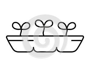 Microgreens line icon. Black simple pictogram of sprouts in tray