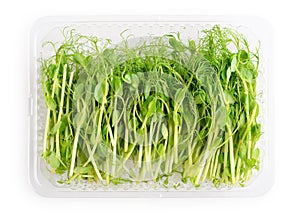 Microgreens of peas in container photo