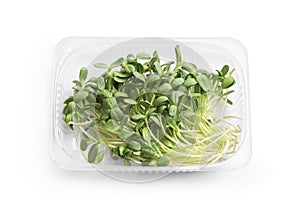 microgreens in a plastic tray on a white background