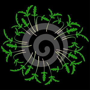 Microgreens Shungiku. Arranged in a circle. White background. Black background
