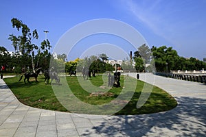 Microlandscape in the garden