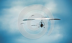 Microlight flying with the cranes