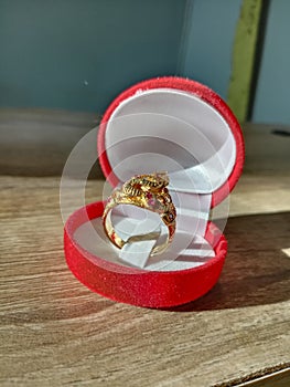 Micron Gold Plated Dragon Ring with Red Ruby photo