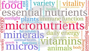 Micronutrients Word Cloud