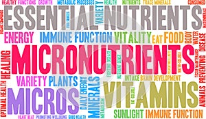 Micronutrients Word Cloud