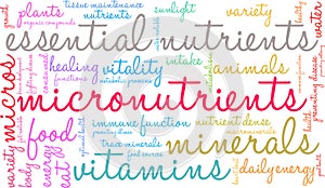 Micronutrients Word Cloud