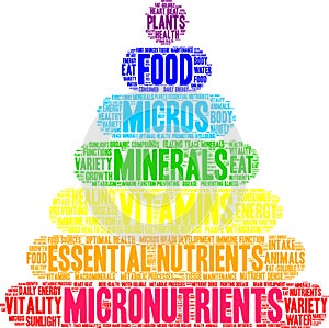 Micronutrients Word Cloud