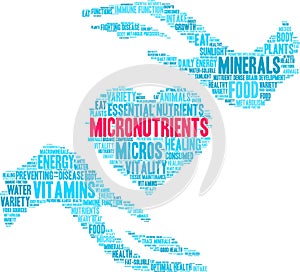 Micronutrients Word Cloud