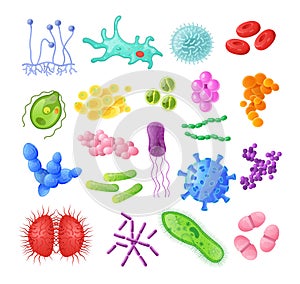 Microorganism, bacteria, virus cell, bacillus, disease bacterium and fungi cells