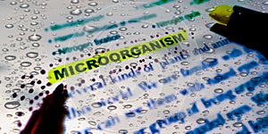 microorganism biological terminology displayed with natural water drops abstract book page abstract background