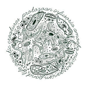 Microorganism Hand drawn Image