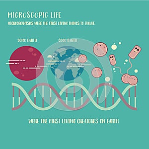 Microorganism life