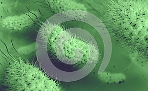 Microorganismos en acuoso ambiente microscopio.. bacterias intestino 