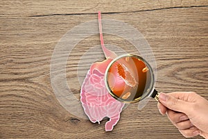 Microorganisms research. Woman with magnifying glass and paper intestine cutout on wooden background, top view