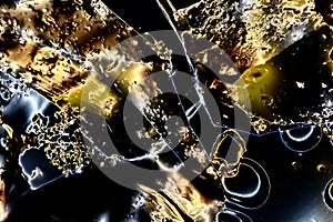 Microphoto of translucent structures