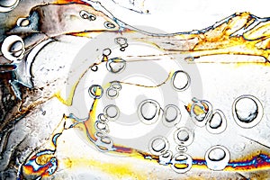 Microphoto of translucent structures