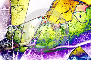 Microphoto of translucent structures in polarize