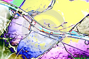 Microphoto of translucent structures in polarize