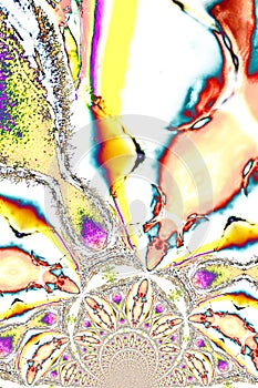 Microphoto of translucent structures in polarize