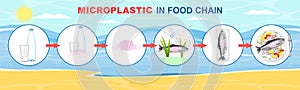 Microplastic in food chain vector infographic. Plastic waste life cycle diagram. Ocean, sea water, fish, food pollution.