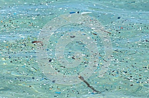 microplastic particles float in the ocean, water pollution