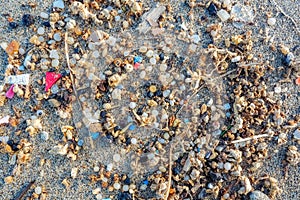 Microplastics found on the shore of a beach in Lanzarote. Sea pollution by plastic